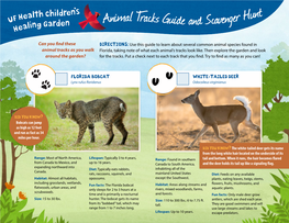 Animal Tracks Guide and Scavenger Hunt