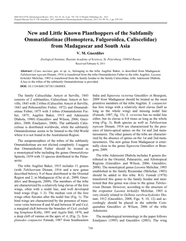 New and Little Known Planthoppers of the Subfamily Ommatidiotinae (Homoptera, Fulgoroidea, Caliscelidae) from Madagascar and South Asia V