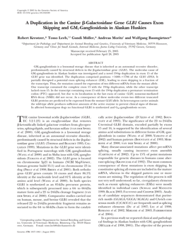 A Duplication in the Canine ß-Galactosidase Gene GLB1