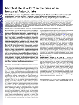 Microbial Life at −13 °C in the Brine of an Ice-Sealed Antarctic Lake