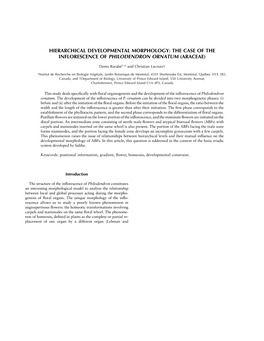 Hierarchical Developmental Morphology: the Case of the Inflorescence of Philodendron Ornatum (Araceae)