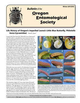 David Mccorkle and Sponsored by the Oregon State Zoology Department and the Oregon State Arthropod Collection