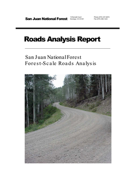 San Juan National Forest Forest-Scale Roads Analysis Report