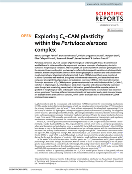 Exploring C4–CAM Plasticity Within the Portulaca Oleracea Complex