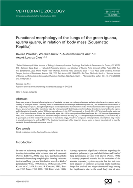 Functional Morphology of the Lungs of the Green Iguana, Iguana Iguana, in Relation of Body Mass (Squamata: Reptilia)