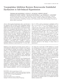 Vasopeptidase Inhibition Restores Renovascular Endothelial Dysfunction in Salt-Induced Hypertension