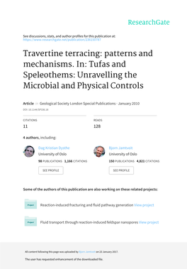 Travertine Terracing: Patterns and Mechanisms. In: Tufas and Speleothems: Unravelling the Microbial and Physical Controls