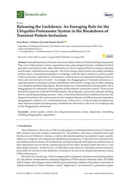 An Emerging Role for the Ubiquitin-Proteasome System in the Breakdown of Transient Protein Inclusions