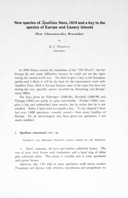 New Species of Spathius Nees, 1818 and a Key to the Species of Europe and Canary Islands