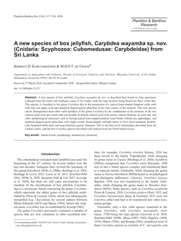 A New Species of Box Jellyfish, Carybdea Wayamba Sp. Nov