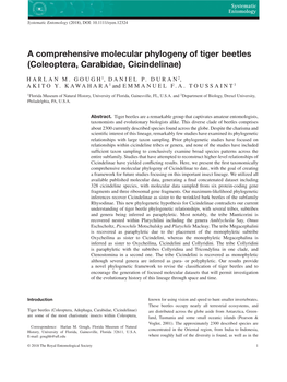 A Comprehensive Molecular Phylogeny of Tiger Beetles (Coleoptera, Carabidae, Cicindelinae)