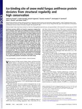 Ice-Binding Site of Snow Mold Fungus Antifreeze Protein Deviates from Structural Regularity and High Conservation