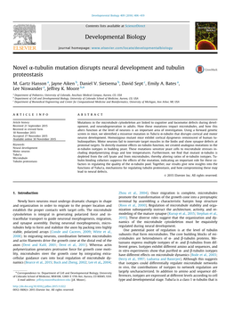 Novel Α-Tubulin Mutation Disrupts Neural Development and Tubulin Proteostasis