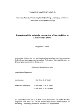 Dissection of the Molecular Mechanism of Hop Inhibition in Lactobacillus Brevis