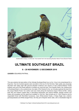 Ultimate Southeast Brazil