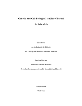 Genetic and Cell Biological Studies of Sarm1 in Zebrafish