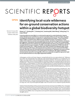 Identifying Local-Scale Wilderness for On-Ground Conservation Actions