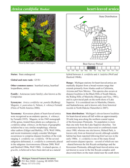 Arnica Cordifolia Hooker Heart-Leavedheart-Leaved Arnica, Arnica Page 1