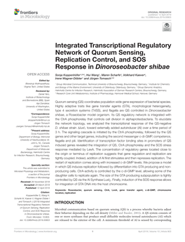 Integrated Transcriptional Regulatory Network of Quorum Sensing, Replication Control, and SOS Response in Dinoroseobacter Shibae