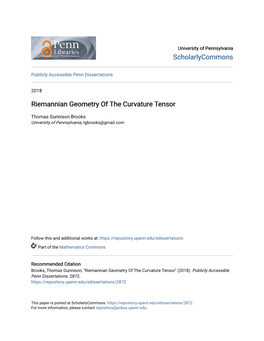 Riemannian Geometry of the Curvature Tensor