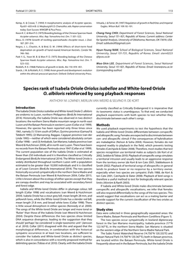 Species Rank of Isabela Oriole Oriolus Isabellae and White-Lored Oriole O