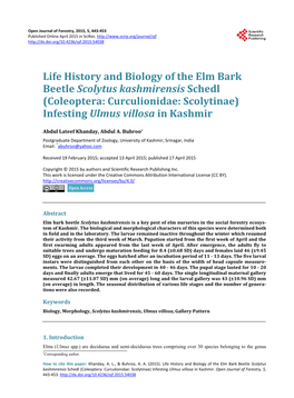 Life History and Biology of the Elm Bark Beetle Scolytus Kashmirensis Schedl (Coleoptera: Curculionidae: Scolytinae) Infesting Ulmus Villosa in Kashmir