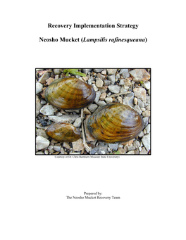 Recovery Implementation Strategy Neosho Mucket (Lampsilis