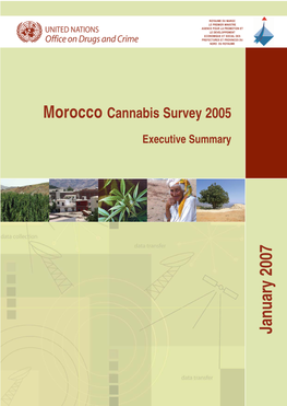 Executive Summary Morocco Cannabis Survey 2005 January 2007