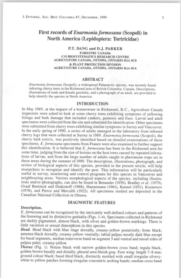 First Records of Enarmonia Formosana (Scopoli) in North America (Lepidoptera: Tortricidae)