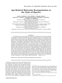 Age-Related Molecular Reorganization at the Node of Ranvier