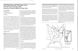 Fall Migration and Wintering Areas of First Year Herring Gulls from The