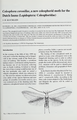 Lepidoptera: Coleophoridae)