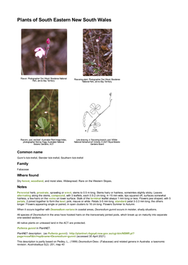 Desmodium Gunnii Occurs in Moister, Shady Situations