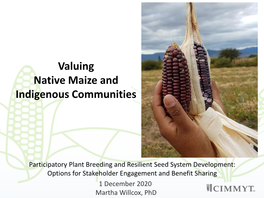 Valuing Native Maize and Indigenous Communities