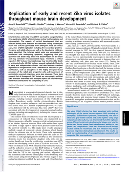 Replication of Early and Recent Zika Virus Isolates Throughout Mouse Brain Development