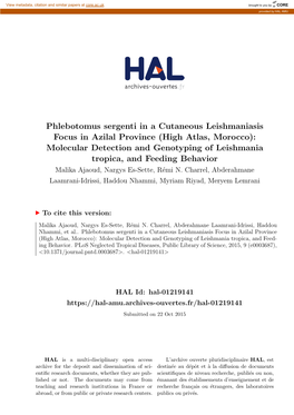 Phlebotomus Sergenti in a Cutaneous Leishmaniasis Focus in Azilal