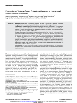 Expression of Voltage-Gated Potassium Channels in Human And