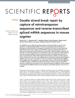 Double Strand Break Repair by Capture of Retrotransposon Sequences And