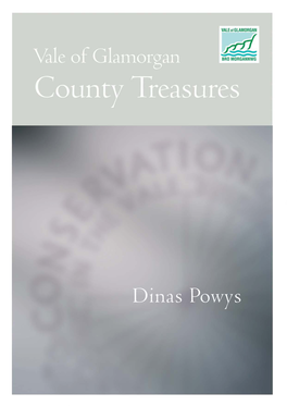 Dinas Powys.Pdf