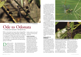 Ode to Odonata Curious About Their Specific Text by Cheong Loong Fah, Tang Hung Bun and Robin Ngiam Wen Jiang Identification, We Have Actually Caught Them by Hand