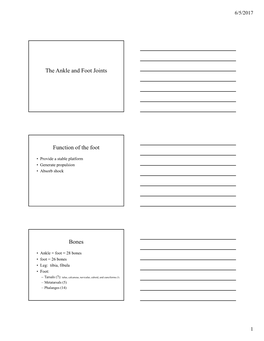 The Ankle and Foot Joints Function of the Foot Bones