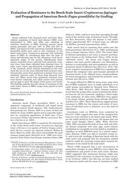 Evaluation of Resistance to the Beech Scale Insect (Cryptococcus Fagisuga) and Propagation of American Beech (Fagus Grandifolia) by Grafting