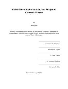 Identification, Representation, and Analysis of Convective Storms