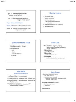 Musculoskeletal System