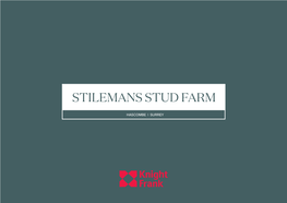 Stilemans Stud Farm