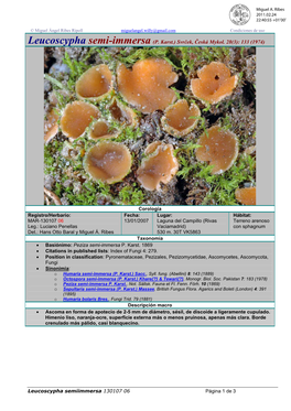 Leucoscypha Semiimmersa 130107 06 Página 1 De 3