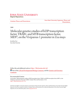 Molecular Genetics Studies of Bzip Transcription Factor, TRAB1, and MYB Transcription Factor, ME97, on the Viviparous 1 Promoter in Zea Mays