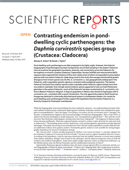 The Daphnia Curvirostris Species Group (Crustacea: Cladocera)