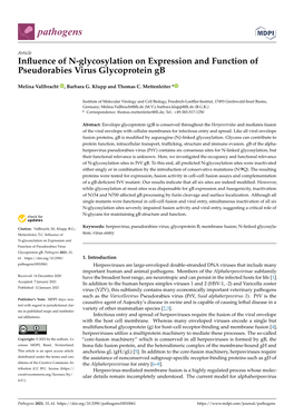 Influence of N-Glycosylation on Expression and Function Of