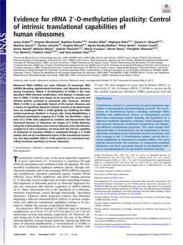 Evidence for Rrna 2′-O-Methylation Plasticity: Control of Intrinsic Translational Capabilities of Human Ribosomes
